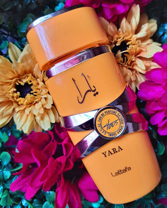 Yara Tous